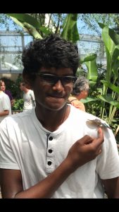 Dakshin
